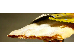 中評価 おたべ 東京往来館 東京さくさくパイのクチコミ 評価 商品情報 もぐナビ 中評価 おたべ 東京往来館 東京さくさくパイのクチコミ 評価 商品情報 もぐナビ