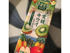 高評価 カゴメ 野菜生活100 愛媛キウイミックス パック195ml 製造終了 のクチコミ 評価 商品情報 もぐナビ