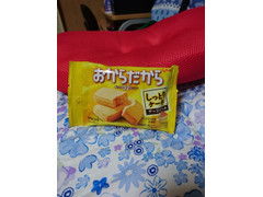 中評価 グリコ おからだから チーズケーキ 袋2個のクチコミ 評価 カロリー情報 もぐナビ