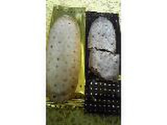 中評価 おたべ 東京往来館 東京さくさくパイのクチコミ 評価 商品情報 もぐナビ 中評価 おたべ 東京往来館 東京さくさくパイのクチコミ 評価 商品情報 もぐナビ