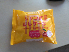 木村屋 ジャンボむしケーキ オレンジ 商品写真