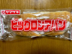 民〇党類ですがボランティアです YouTube動画>7本 ->画像>31枚 
