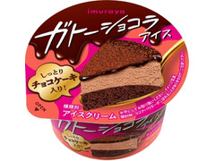 井村屋 ガトーショコラアイス 商品写真