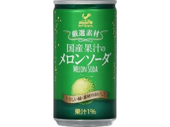 神戸居留地 厳選素材 国産果汁のメロンソーダ