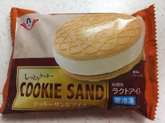 田口 クッキーサンドアイス 袋1個