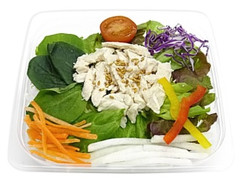 セブン-イレブン 蒸し鶏と11種野菜のサラダ 商品写真