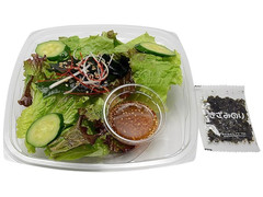 セブン-イレブン ふんわり野菜のおつまみチョレギサラダ 商品写真