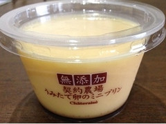 高評価 シャトレーゼ 無添加 契約農場うみたて卵のミニプリンのクチコミ 評価 商品情報 もぐナビ 高評価 シャトレーゼ 無添加 契約農場うみたて卵のミニプリンのクチコミ 評価 商品情報 もぐナビ