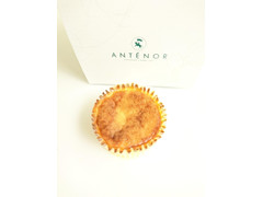 高評価 アンテノール バスクチーズケーキの感想 クチコミ 商品情報 もぐナビ 高評価 アンテノール バスクチーズケーキの感想 クチコミ 商品情報 もぐナビ