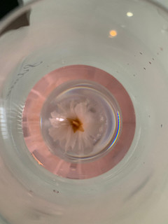 高評価 さくら さらさら 桜花リキュール 北岡本店 さくらさらさら のクチコミ 評価 Sweetsilさん もぐナビ 高評価 さくら さらさら 桜花リキュール 北岡本店 さくらさらさら のクチコミ 評価 Sweetsilさん もぐナビ