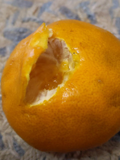 「池栄青果 ニュージーランド 果物 オレンジ 袋7個」のクチコミ画像 by おうちーママさん