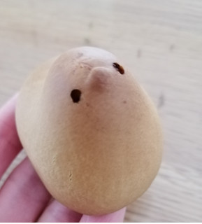 高評価 香ばしい皮が好き ひよ子本舗吉野堂 名菓ひよ子 のクチコミ 評価 ぐるりんこさん もぐナビ 高評価 香ばしい皮が好き ひよ子本舗吉野堂 名菓ひよ子 のクチコミ 評価 ぐるりんこさん もぐナビ