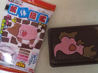 中評価 バンダイ 解体図鑑チョコのクチコミ一覧 1 2件 もぐナビ 中評価 バンダイ 解体図鑑チョコのクチコミ一覧 1 2件 もぐナビ