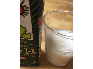 中評価 豆乳にジンジャーエール キッコーマン 豆乳飲料 ジンジャーエール のクチコミ 評価 しぉりさん もぐナビ