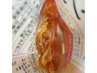 TOMOGUCHI 友口 太陽の恵みドライフルーツ マンダリンオレンジ