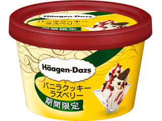 中評価 ハーゲンダッツ ミニカップ ゴールデンベリーのレアチーズケーキのクチコミ 評価 値段 価格情報 もぐナビ