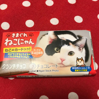 中評価】「カードに夢中 - ショウエイ きまぐれねこにゃん」のクチコミ 