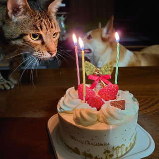 中評価 フジパン製 セブン イレブン ガトー フレーズ のクチコミ 評価 ペリカさん もぐナビ