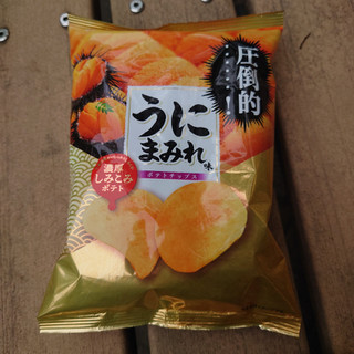 「山芳製菓 ポテトチップス うにまみれ味 袋45g」のクチコミ画像 by tddtakaさん