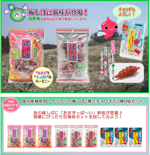 国内産梅使用 カリカリの梅しば2種とチョロギのお茶うけセット をご提供 もぐ友 もぐナビ 国内産梅使用 カリカリの梅しば2種とチョロギのお茶うけセット をご提供 もぐ友 もぐナビ